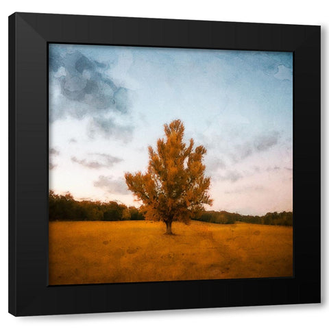 Chickamauga 15 Oil Paint Black Modern Wood Framed Art Print by Lee, Rachel