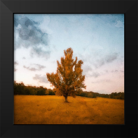 Chickamauga 15 Oil Paint Black Modern Wood Framed Art Print by Lee, Rachel