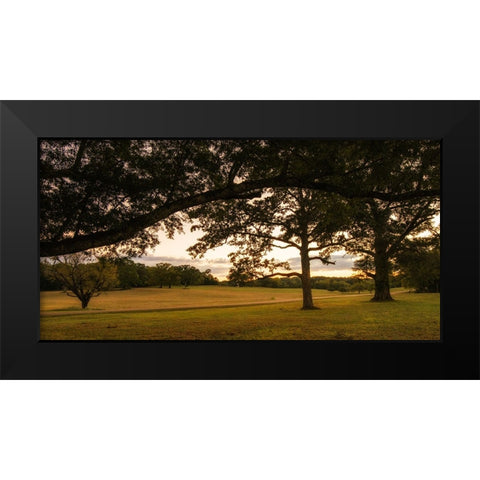 Chickamauga 16 Black Modern Wood Framed Art Print by Lee, Rachel