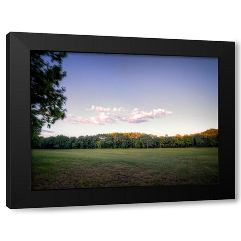 Chickamauga 7 Black Modern Wood Framed Art Print with Double Matting by Lee, Rachel