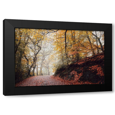 Country Road 4 Black Modern Wood Framed Art Print with Double Matting by Lee, Rachel