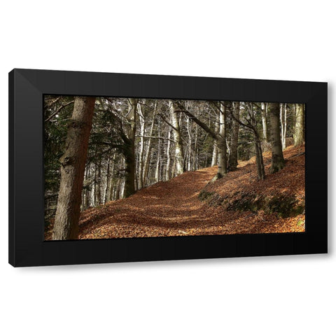 Country Road 5 Black Modern Wood Framed Art Print with Double Matting by Lee, Rachel