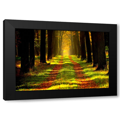 Country Road 6 Black Modern Wood Framed Art Print with Double Matting by Lee, Rachel