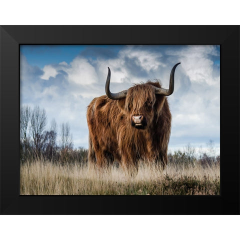 Cow 2 Black Modern Wood Framed Art Print by Lee, Rachel