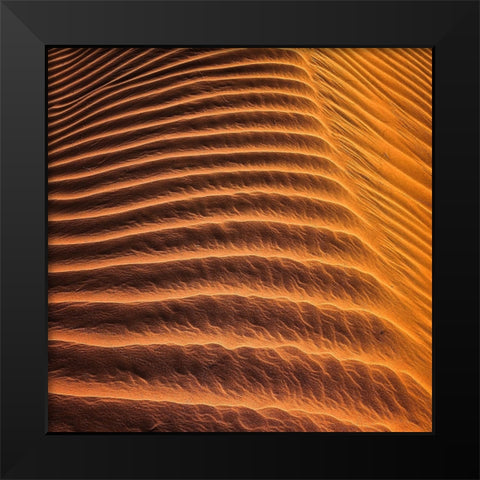 Desert 3 Black Modern Wood Framed Art Print by Lee, Rachel