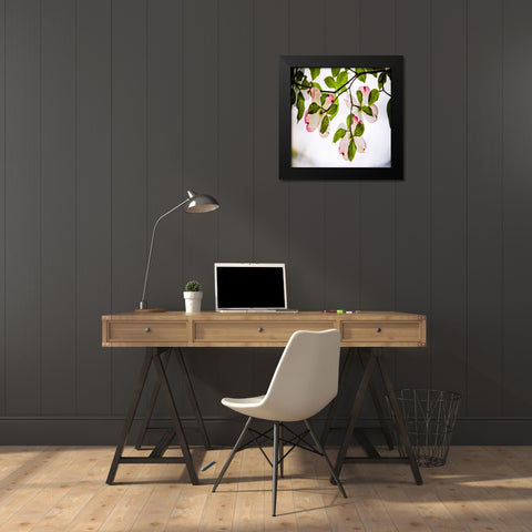 Dogwood Black Modern Wood Framed Art Print by Lee, Rachel