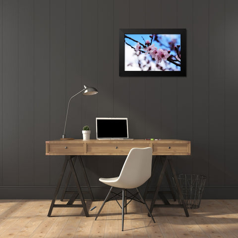 Dogwood Spring Black Modern Wood Framed Art Print by Lee, Rachel