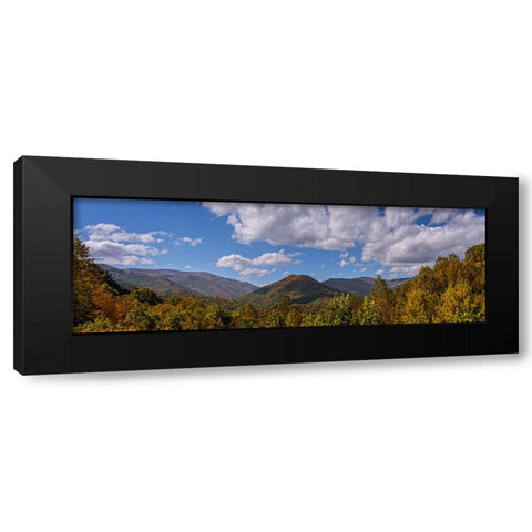 Fall Vista Black Modern Wood Framed Art Print by Lee, Rachel