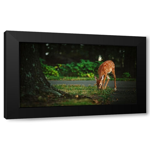 Fawn Black Modern Wood Framed Art Print by Lee, Rachel