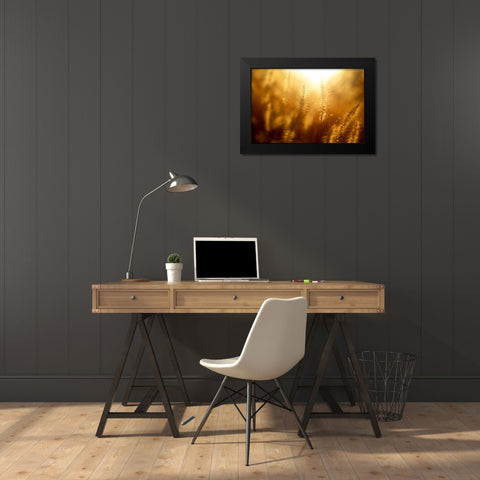 Field 10 Black Modern Wood Framed Art Print by Lee, Rachel