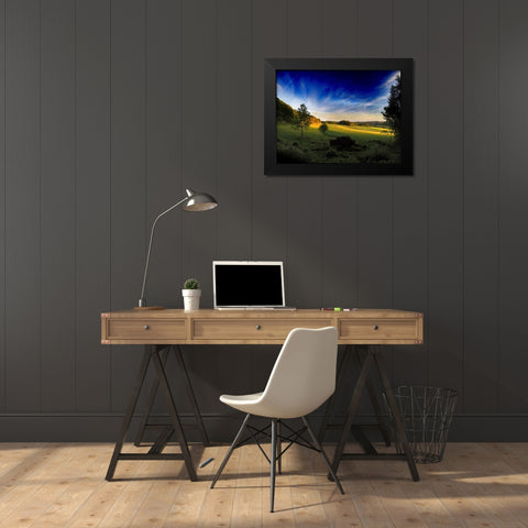 Field 12 Black Modern Wood Framed Art Print by Lee, Rachel