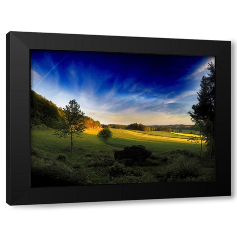 Field 12 Black Modern Wood Framed Art Print with Double Matting by Lee, Rachel