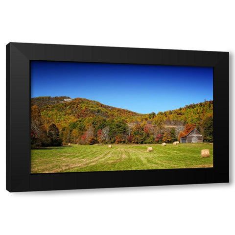 Field 13 Black Modern Wood Framed Art Print by Lee, Rachel