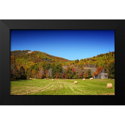 Field 13 Black Modern Wood Framed Art Print by Lee, Rachel
