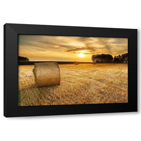 Field 14 Black Modern Wood Framed Art Print by Lee, Rachel
