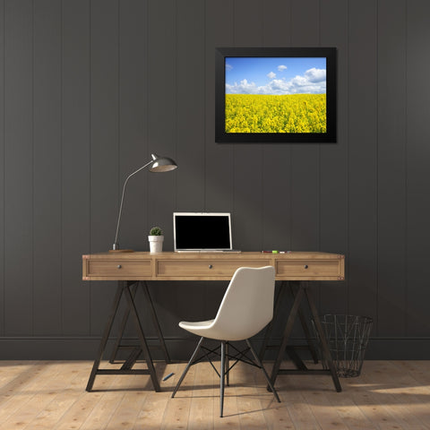 Field 15 Black Modern Wood Framed Art Print by Lee, Rachel