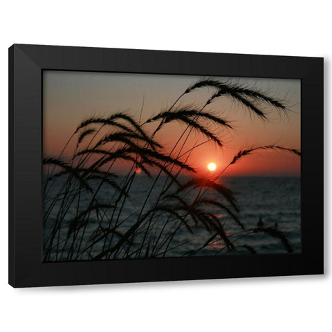 Field 18 Black Modern Wood Framed Art Print with Double Matting by Lee, Rachel