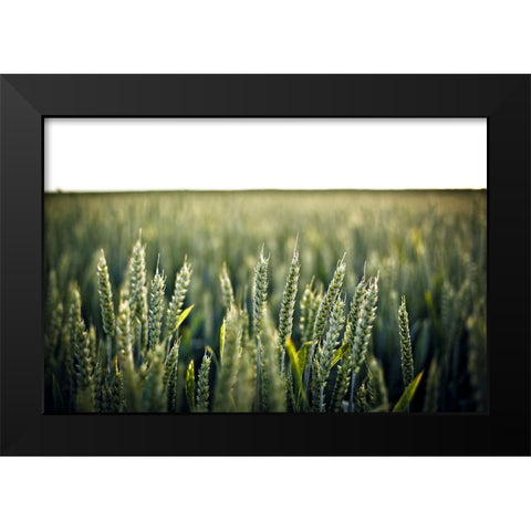 Field 2 Black Modern Wood Framed Art Print by Lee, Rachel