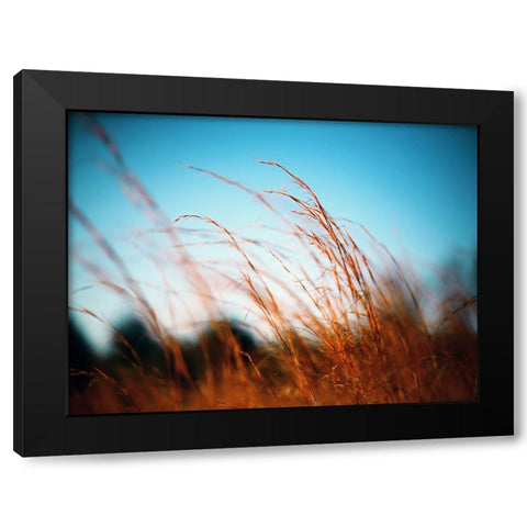 Field 20 Black Modern Wood Framed Art Print with Double Matting by Lee, Rachel