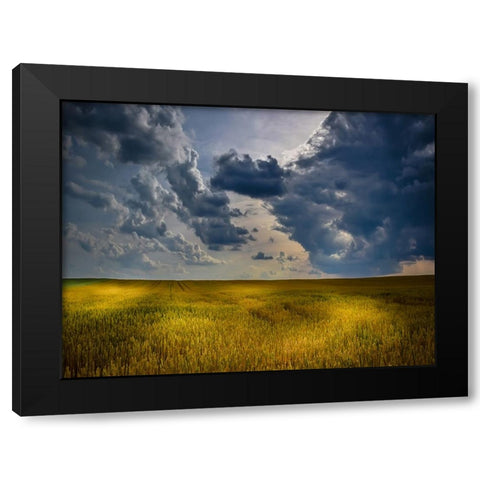 Field 21 Black Modern Wood Framed Art Print with Double Matting by Lee, Rachel