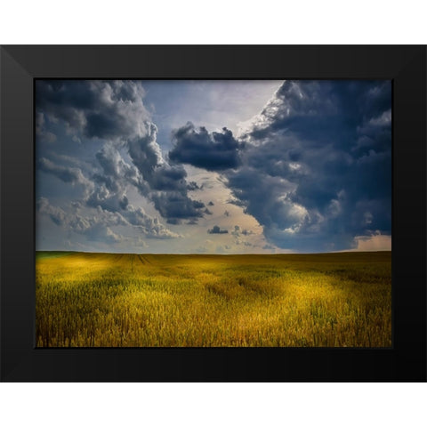 Field 21 Black Modern Wood Framed Art Print by Lee, Rachel