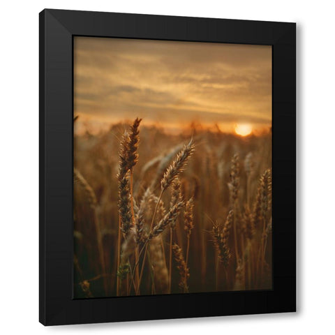 Field 24 Black Modern Wood Framed Art Print by Lee, Rachel