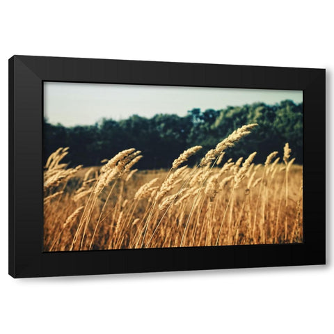 Field 4 Black Modern Wood Framed Art Print with Double Matting by Lee, Rachel