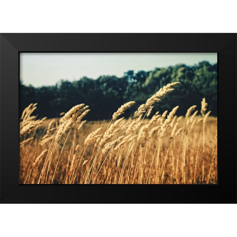 Field 4 Black Modern Wood Framed Art Print by Lee, Rachel