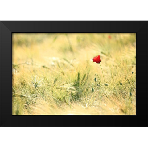Field 9 Black Modern Wood Framed Art Print by Lee, Rachel