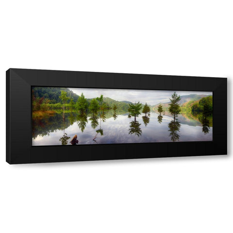 Floating Trees Black Modern Wood Framed Art Print with Double Matting by Lee, Rachel