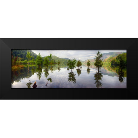 Floating Trees Black Modern Wood Framed Art Print by Lee, Rachel