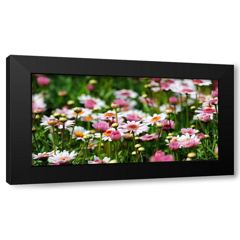 Flower 48 Black Modern Wood Framed Art Print by Lee, Rachel