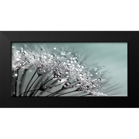 Flower 55 Grayscale Black Modern Wood Framed Art Print by Lee, Rachel