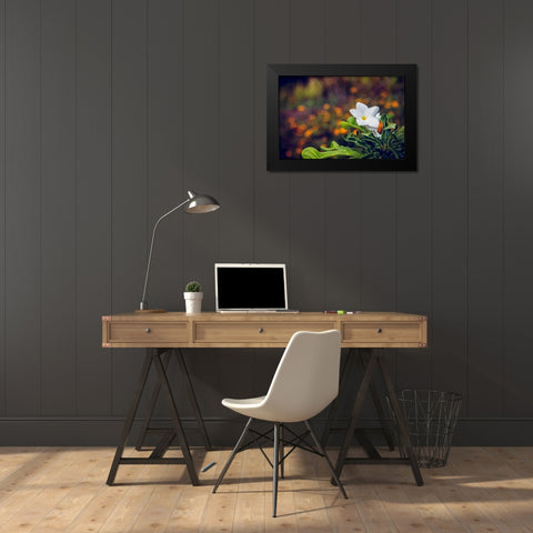 Flower 6 Black Modern Wood Framed Art Print by Lee, Rachel