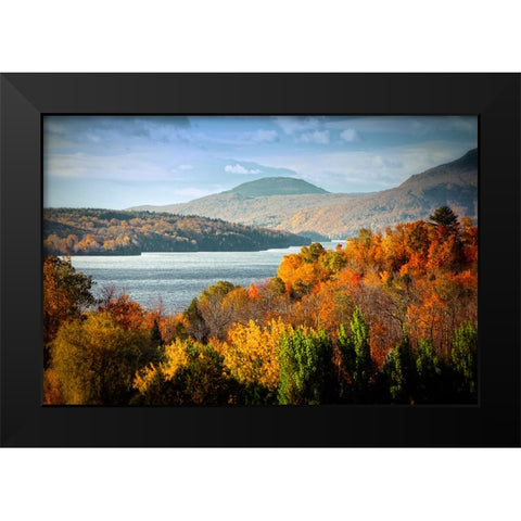 Forest Lake Black Modern Wood Framed Art Print by Lee, Rachel