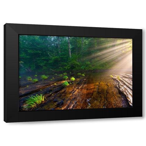 Hiwassee Morning Rays Black Modern Wood Framed Art Print with Double Matting by Lee, Rachel