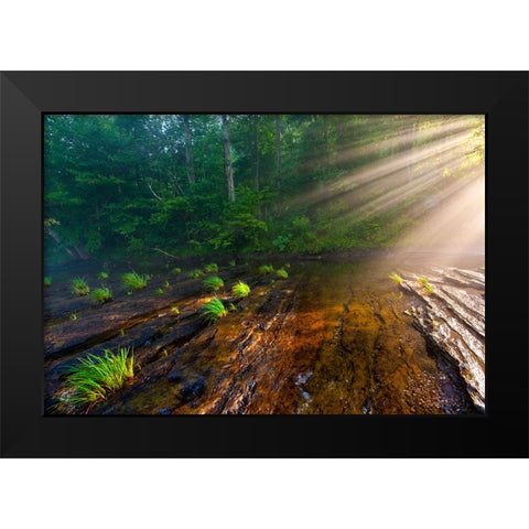 Hiwassee Morning Rays Black Modern Wood Framed Art Print by Lee, Rachel
