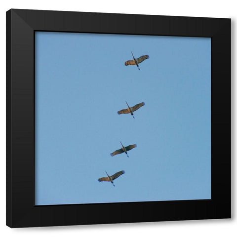 Hiwassee Refuge 4 Black Modern Wood Framed Art Print with Double Matting by Lee, Rachel