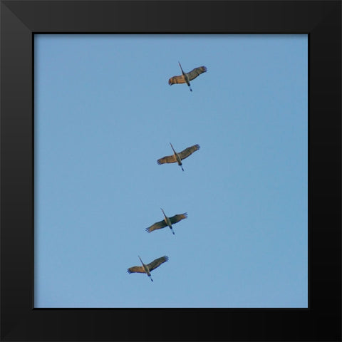 Hiwassee Refuge 4 Black Modern Wood Framed Art Print by Lee, Rachel