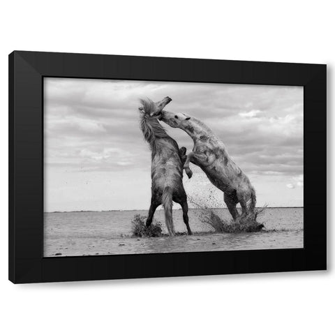 Horse 1 Black Modern Wood Framed Art Print with Double Matting by Lee, Rachel