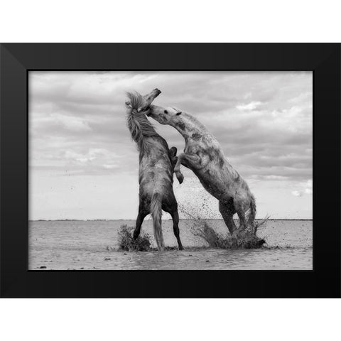 Horse 1 Black Modern Wood Framed Art Print by Lee, Rachel
