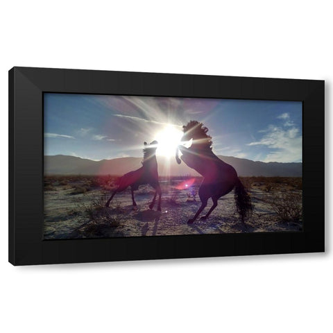 Horse 3 Black Modern Wood Framed Art Print with Double Matting by Lee, Rachel