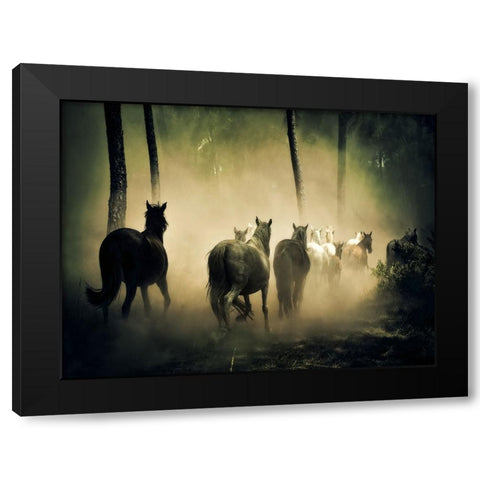 Horse 4 Black Modern Wood Framed Art Print with Double Matting by Lee, Rachel