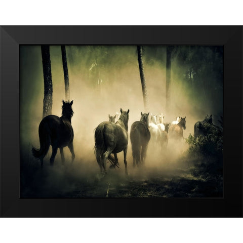 Horse 4 Black Modern Wood Framed Art Print by Lee, Rachel
