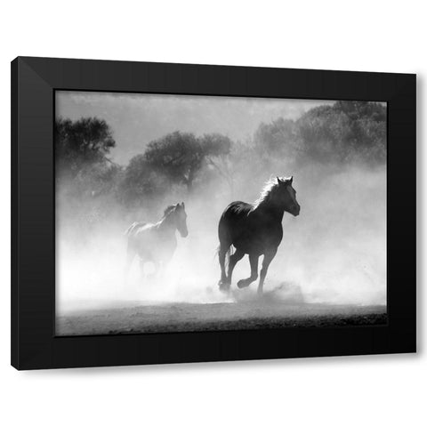 Horse 6 Black Modern Wood Framed Art Print with Double Matting by Lee, Rachel