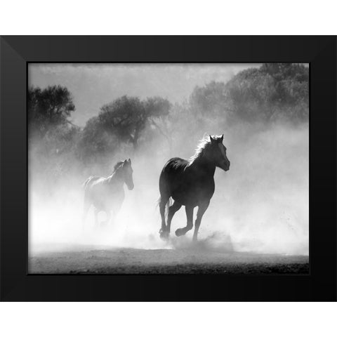 Horse 6 Black Modern Wood Framed Art Print by Lee, Rachel