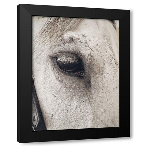 Horse 7 Black Modern Wood Framed Art Print by Lee, Rachel