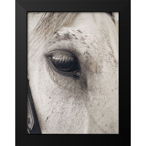 Horse 7 Black Modern Wood Framed Art Print by Lee, Rachel