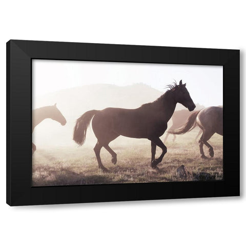 Horse 11 Black Modern Wood Framed Art Print with Double Matting by Lee, Rachel