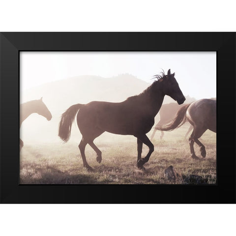 Horse 11 Black Modern Wood Framed Art Print by Lee, Rachel